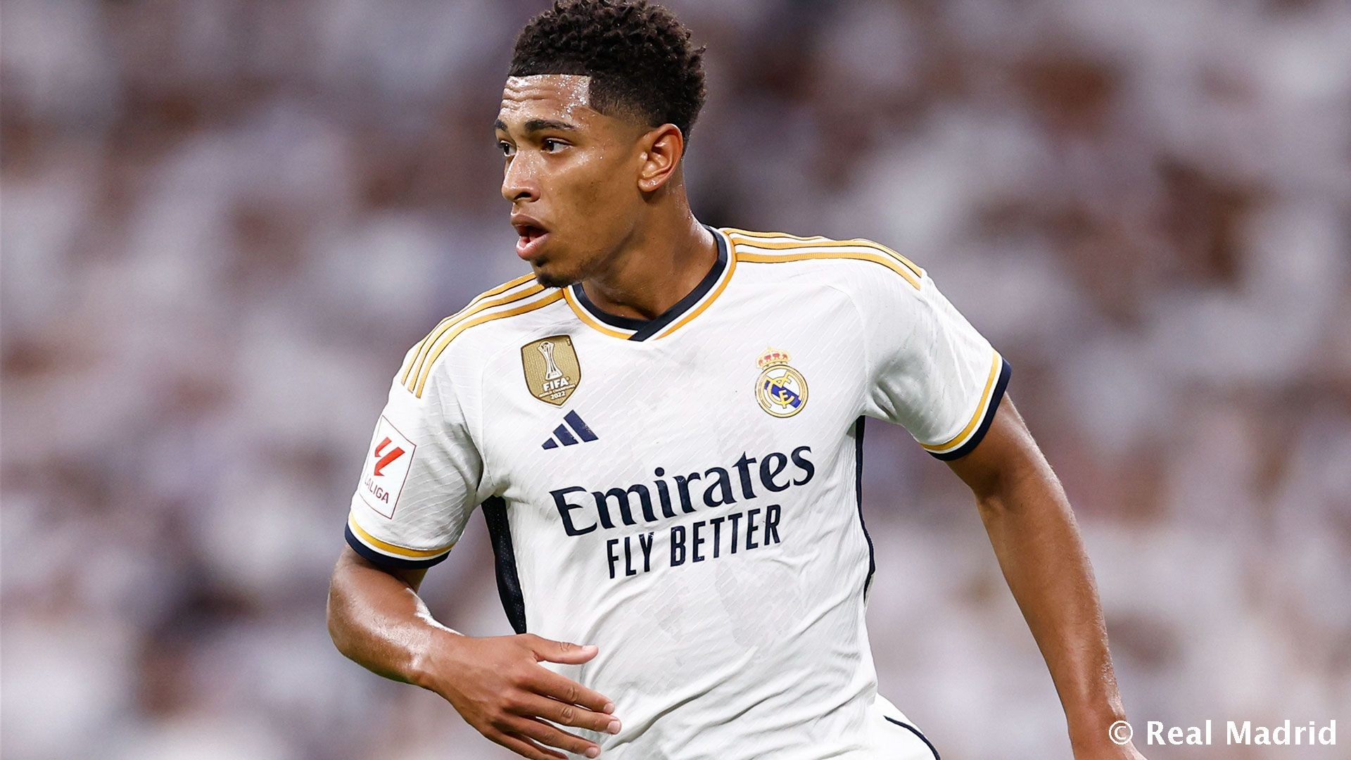 欧冠参赛队 欧冠参赛队